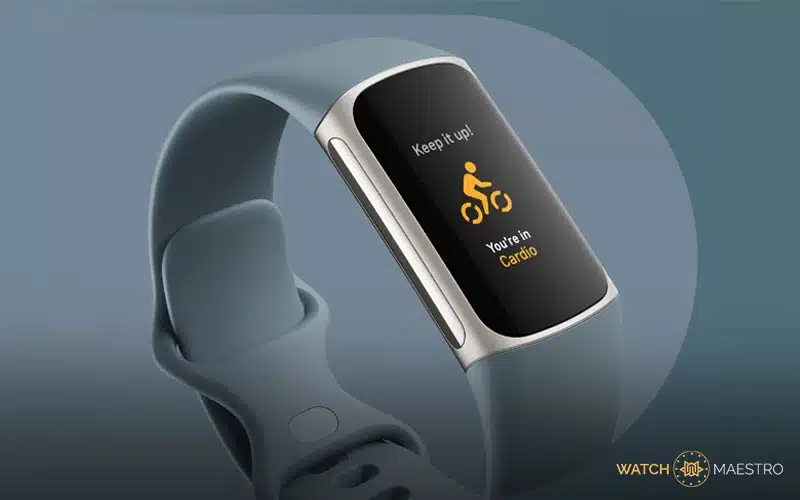 What defines a Fitness Watch