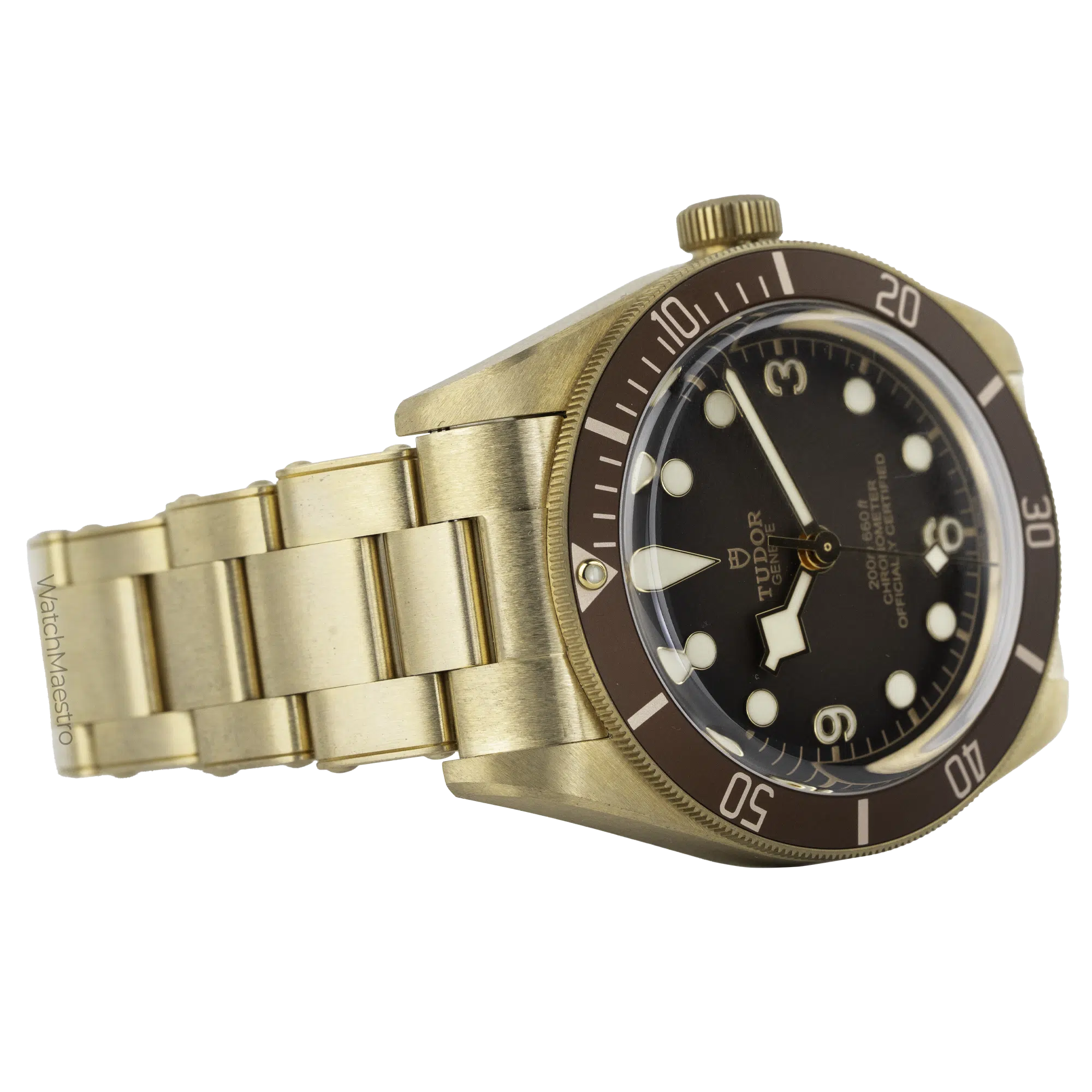 Tudor Bronze Black Bay 1