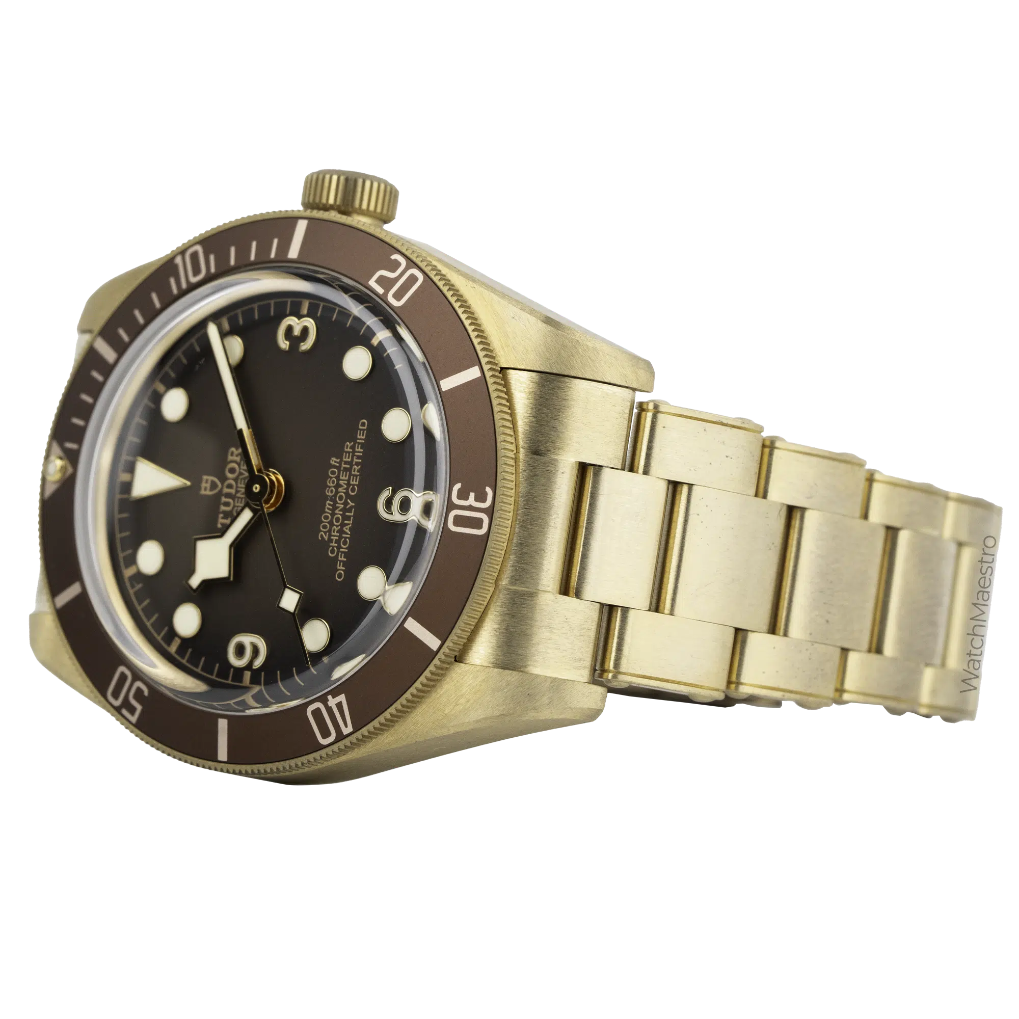 Tudor Bronze Black Bay 9